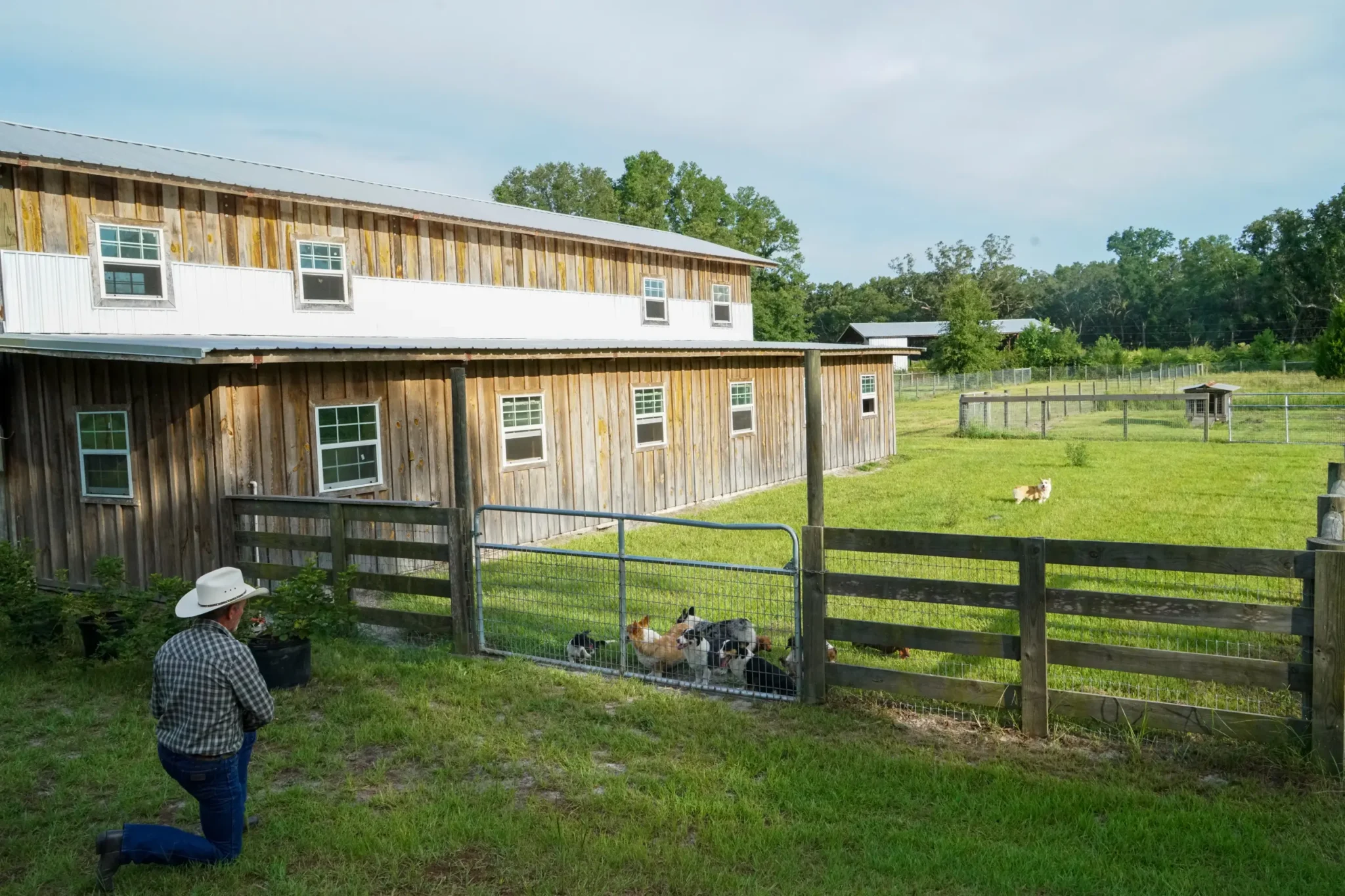 Bobby Rucker Of Rucker Ranch Attending Corgi & Dachshund Puppies