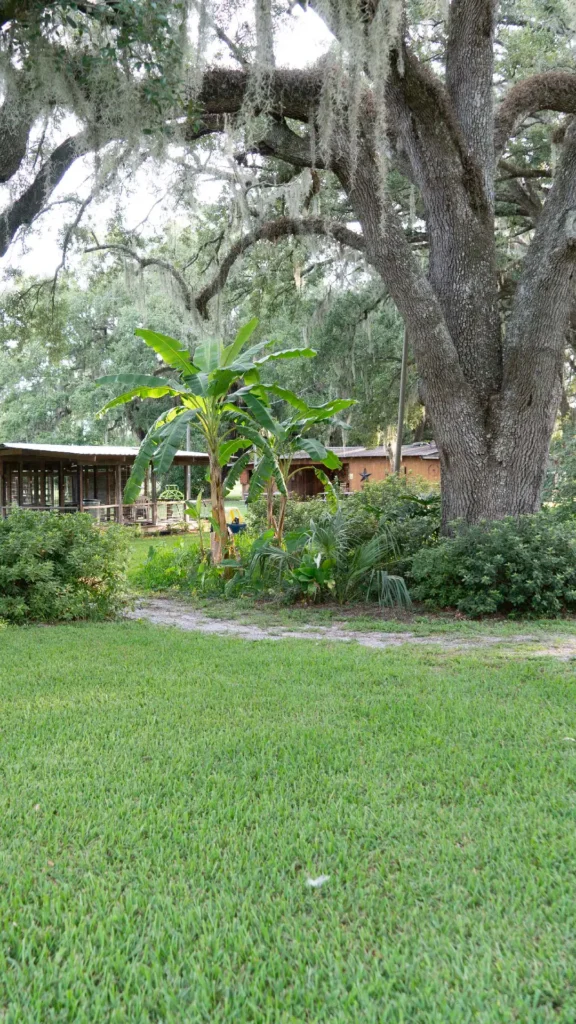 Rucker Ranch Buildings & Open Farm Area